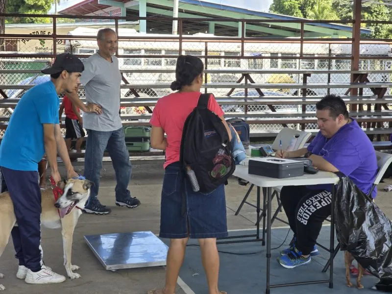 Pet spay and neuter activities