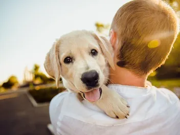 How to Take Care of Your Dog: 21 Vet-Approved Tips