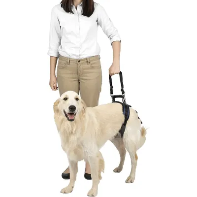 PetSafe CareLift Rear Handicapped Support Dog Harness