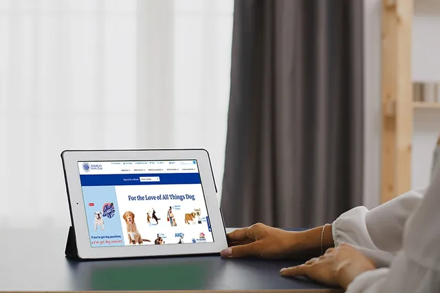 Limited AKC Registration vs. Full: What’s the Difference?