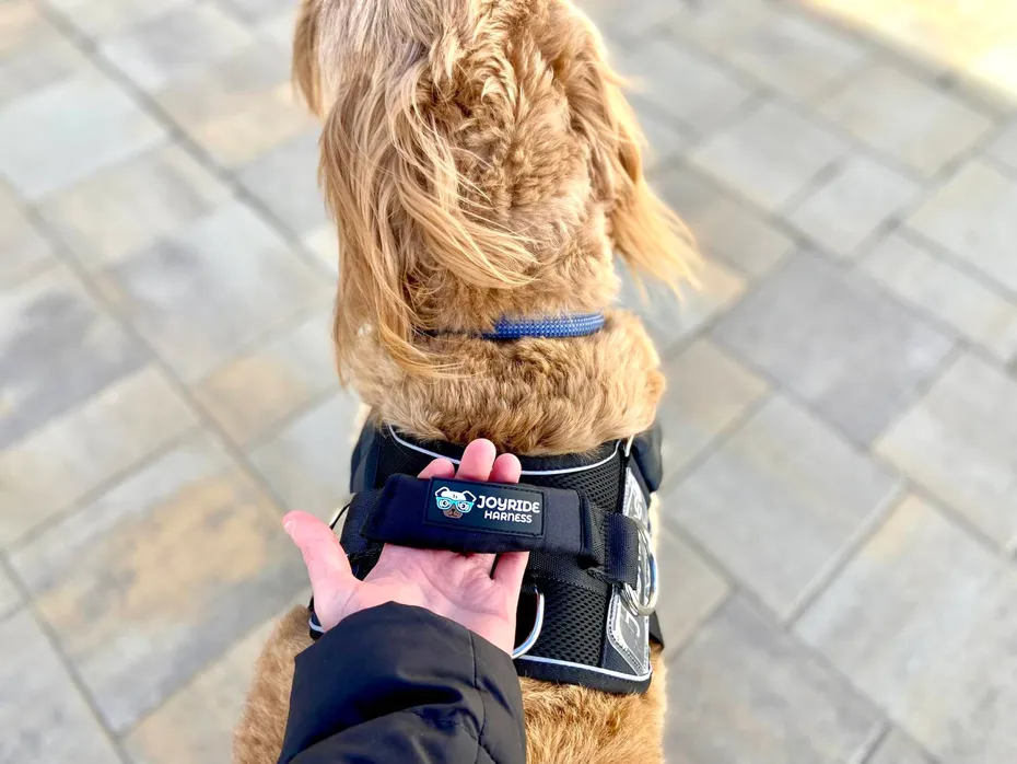 Joyride Summer Mesh Harness Review - grip handle