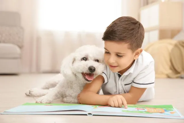 How Much Does a Bichon Frise Cost in 2026? Updated Price Guide