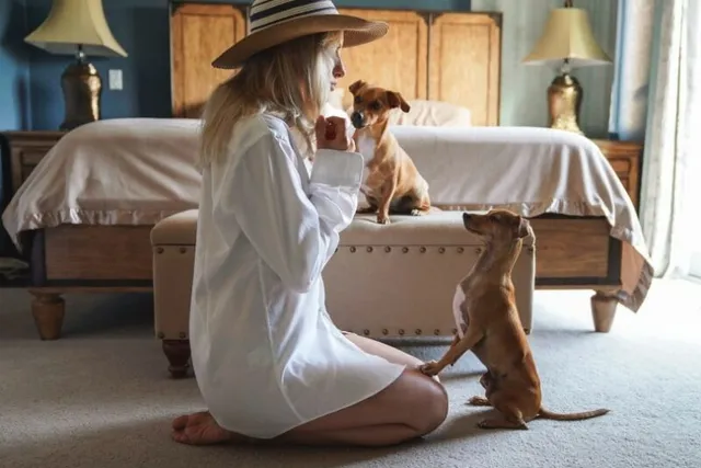 How to Teach Your Dog to Dance: 8 Tips & Tricks (Vet Verified)