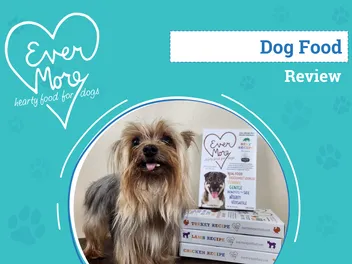 Evermore Dog Food Review 2026: Pros, Cons & Verdict: An Expert's Breakdown