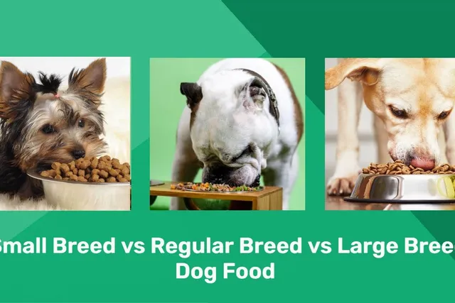 Small Breed Dog Food vs Regular vs Large Breed: Main Differences, Pros & Cons