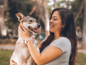 8 Best Pet Insurance Providers for Older Dogs in 2026 - Reviews & Comparisons