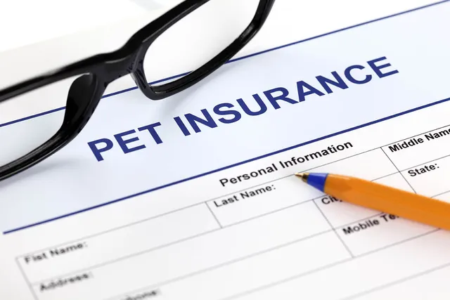 What Does Pet Insurance Cover? How It Works, Facts & FAQ