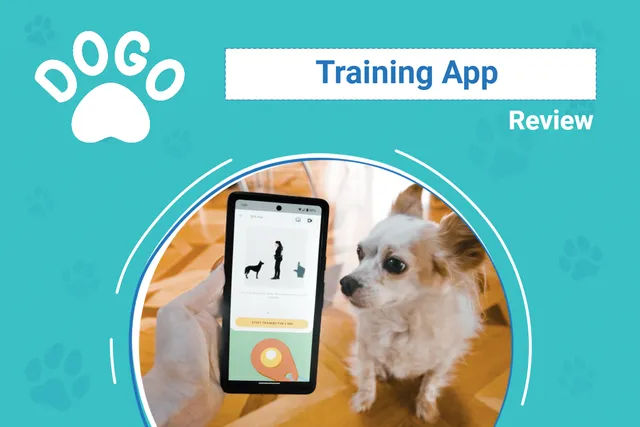 Dogo App Review 2026: An Expert's Breakdown