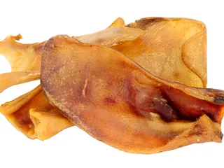 Are Pig Ears Good for Dogs? Vet-Verified Facts & Guide