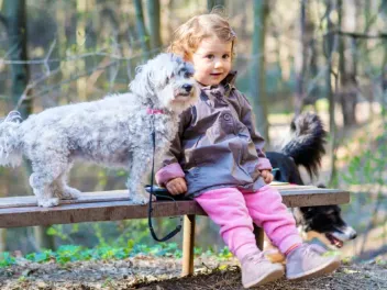 Will a Havanese Be Good With My Kids? Temperament & Behavior