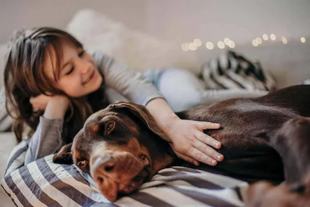 Do Dobermans Make Good Pets? What You Need to Know (Vet-Reviewed Info)