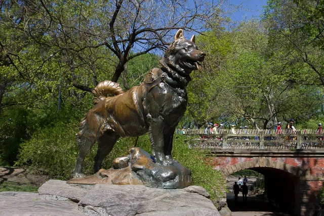 Whatever Happened to the Real Balto, Hero of the Alaskan Serum Run? History Revealed