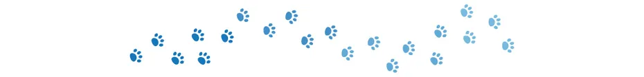 Dogster_Website dividers_v1_Jan 18 2024-01-TEST