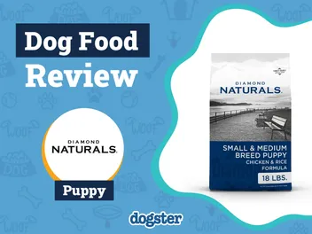 Diamond Puppy Formula Dog Food Review 2026: Recalls, Pros & Cons