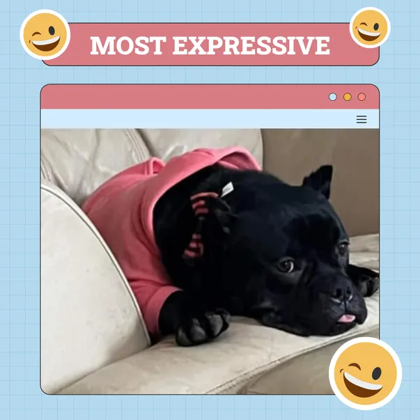 Most Expressive Dog