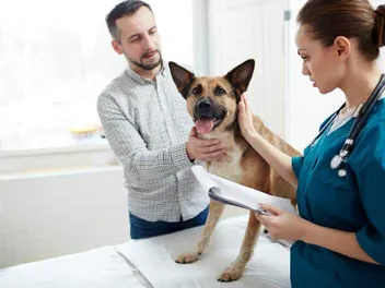 How Long Can a Dog Live With a Collapsing Trachea? (Vet Answer)