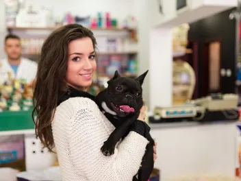 How to Pick Up a French Bulldog Properly: 5 Vet-Approved Tips