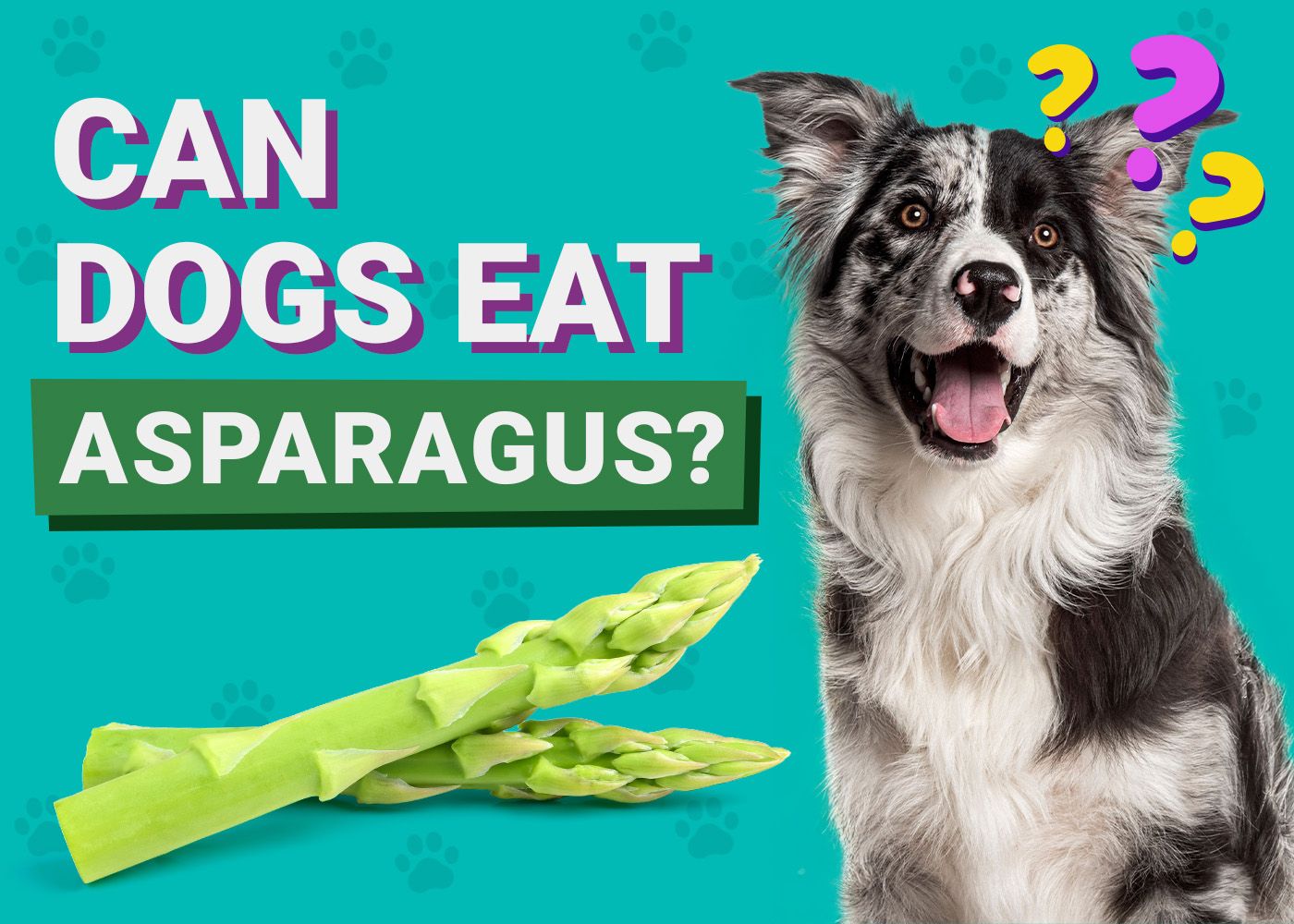 Can Dogs Eat_Asparagus
