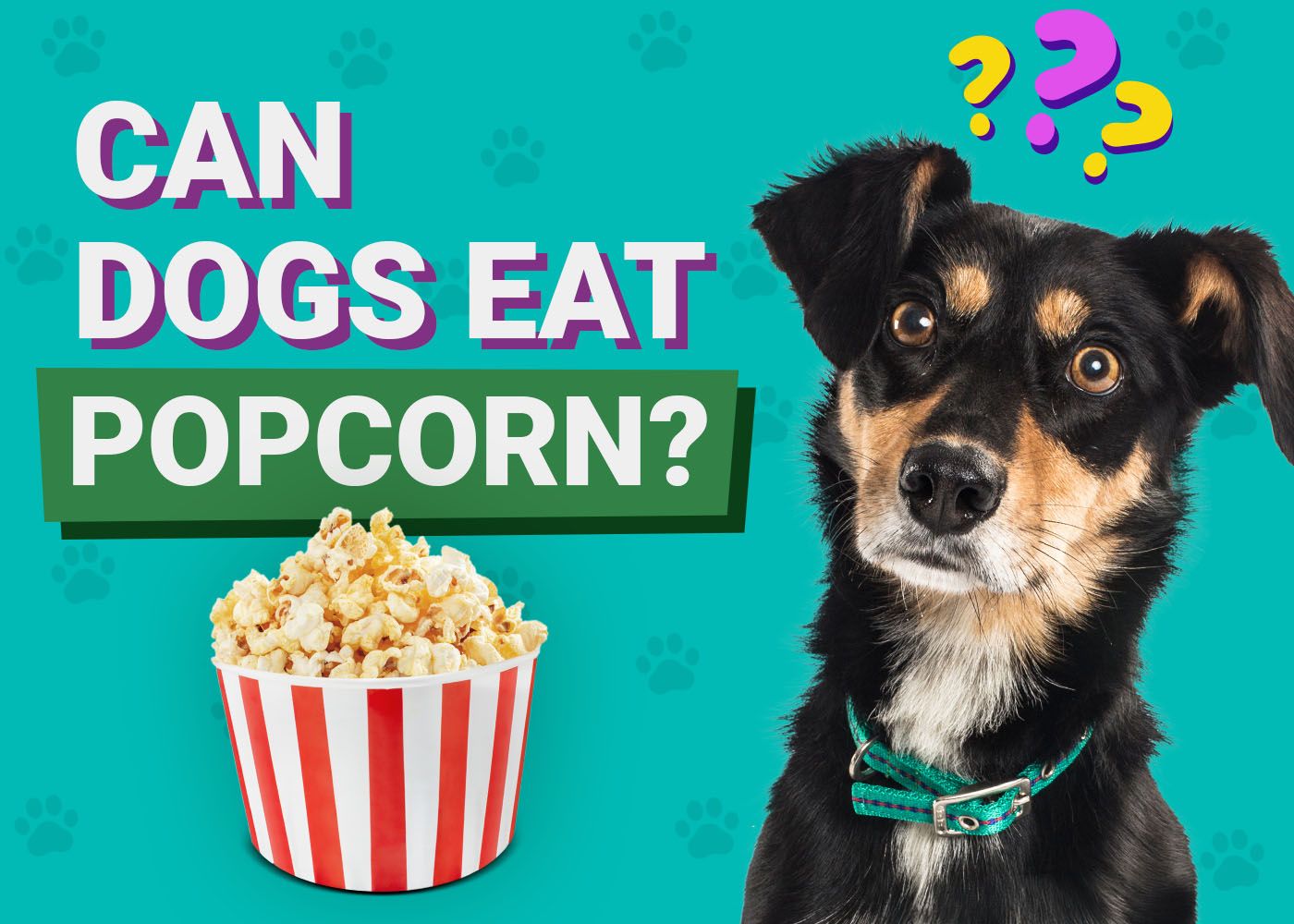 Can Dogs Eat Popcorn