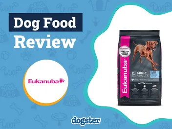 Eukanuba Dog Food Review 2026: Pros, Cons & Recalls
