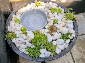 Turning My Messy Drinker Into a Self-Watering Masterpiece (with Video)