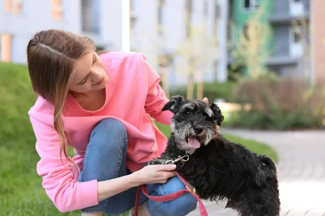 What Language Does a Dog Think In? What Science Says
