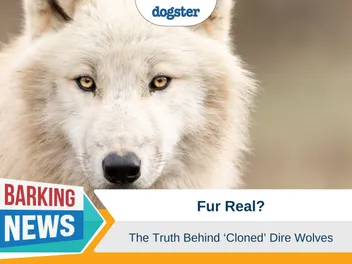 De-Extinction of the Dire Wolf - Brave New World or Colossal Mistake?
