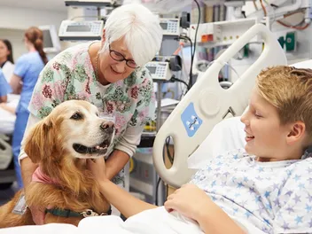 What Does a Therapy Dog Do? Facts & FAQ