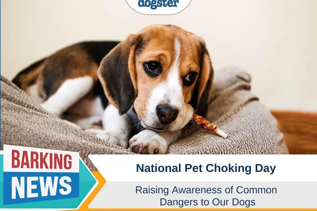 National Pet Choking Day: New Holiday Raises Awareness of Common Dangers to Our Dogs