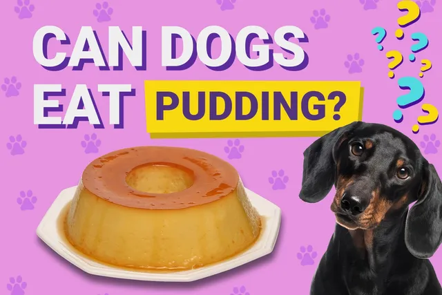 Can Dogs Eat Pudding? Vet-Reviewed Facts & FAQ