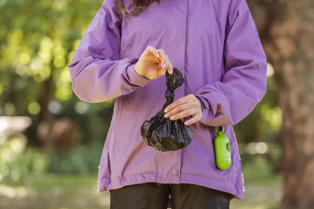 There's Black Specks in My Dog's Poop, Should I Worry? Vet-Approved Health Facts
