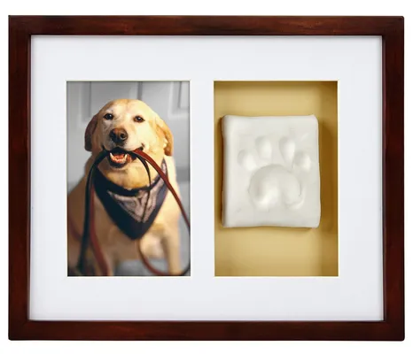 Pearhead Pawprints Dog &amp; Cat Wall Frame and Impression Kit