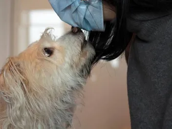 Can Dogs Smell Cancer in Humans? Vet-Verified Facts & FAQ