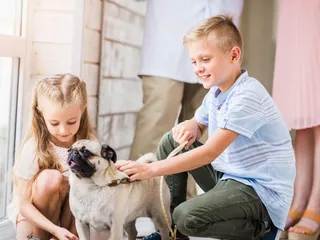 Are Pugs Good With Kids? Vet-Verified Facts & Care Tips