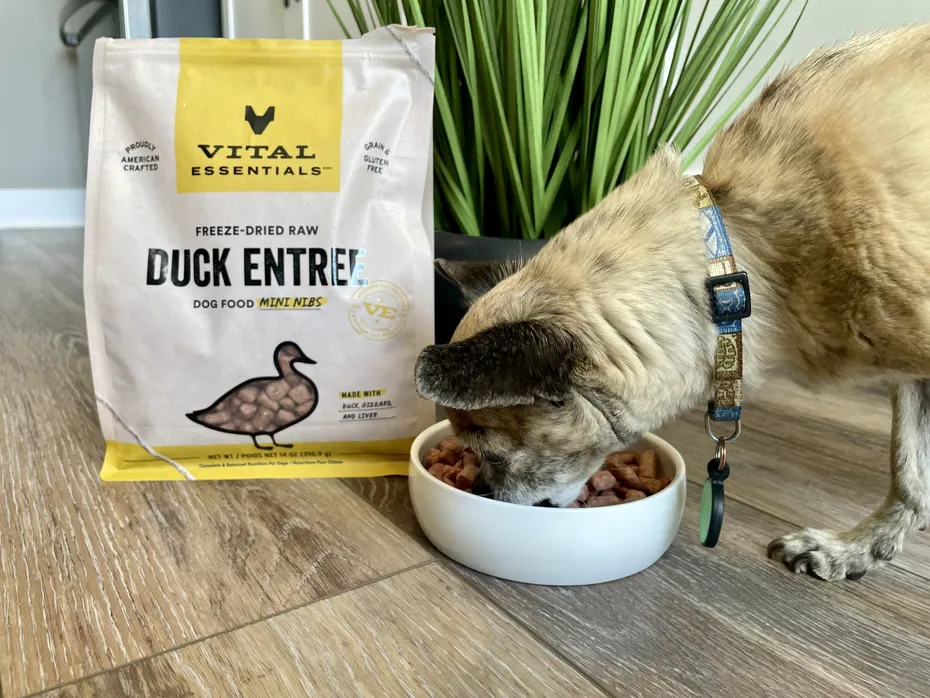 Vital Essentials raw dog food