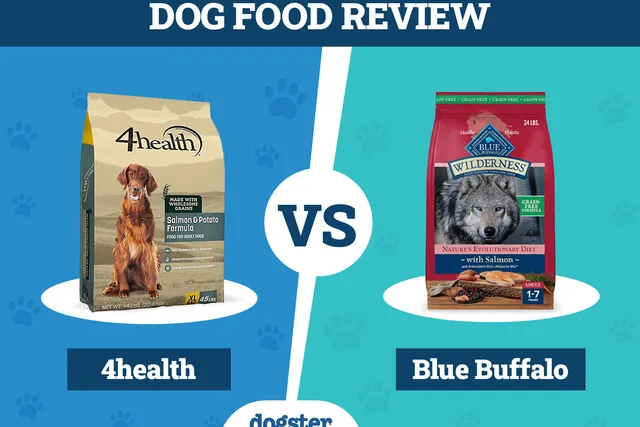 4Health vs Blue Buffalo Dog Food: 2026 Comparison, Pros & Cons