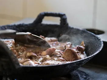 Organ Meat for Dogs: Vet-Verified Safety & Preparation Tips