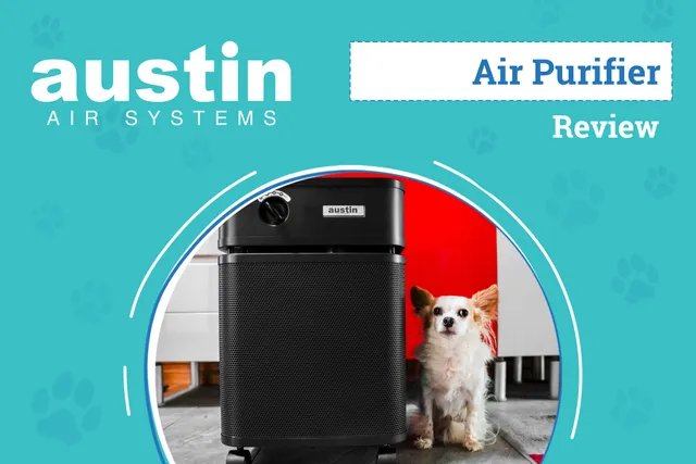 Austin Air HealthMate Review 2026: An Expert’s Breakdown