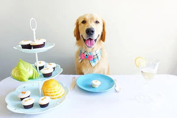 Savory Birthday Cupcakes