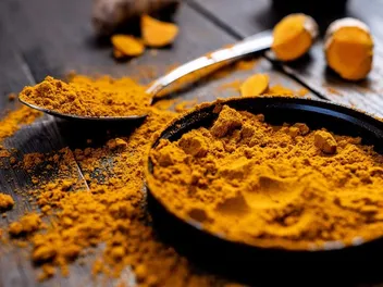 4 Benefits of Turmeric for Dogs (Based on Science)
