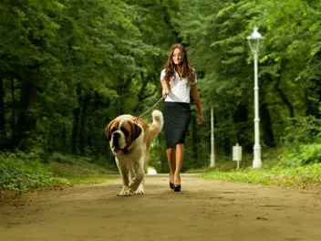 How Often Should You Walk Your Dog? Vet-Reviewed Health Facts & FAQ