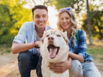 Who Gets the Dog in a Breakup? 5 Tips for Protecting Your Pup During a Split