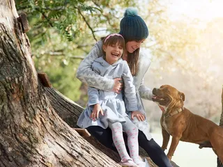 Are Pitbulls Good Family Dogs? Breed Facts & FAQ