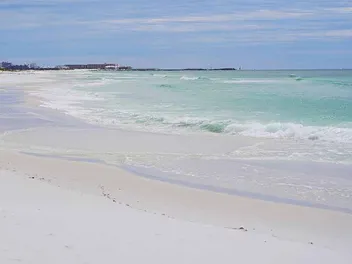 Are Dogs Allowed on Destin Beaches in 2026? Rules & Location Guide