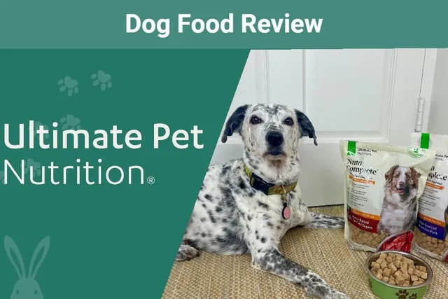 Nutra Complete Dog Food Review 2026: An Expert’s Breakdown