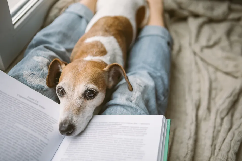woman reading to her dog at home