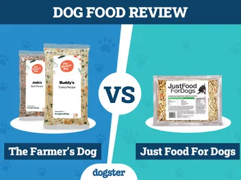 The Farmer’s Dog vs Just Food For Dogs: 2026 Comparison, Pros & Cons