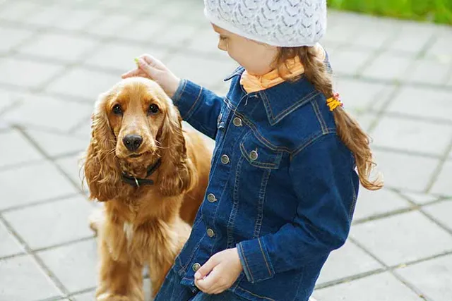 How Good Is a Cocker Spaniel With Kids? Vet-Verified Facts & FAQ
