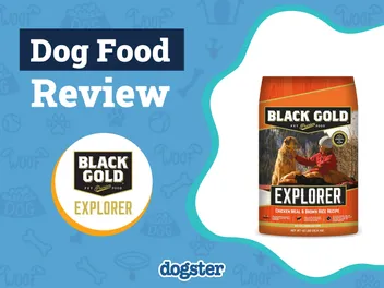 Black Gold Explorer Dog Food Review 2026: Recalls, Pros & Cons