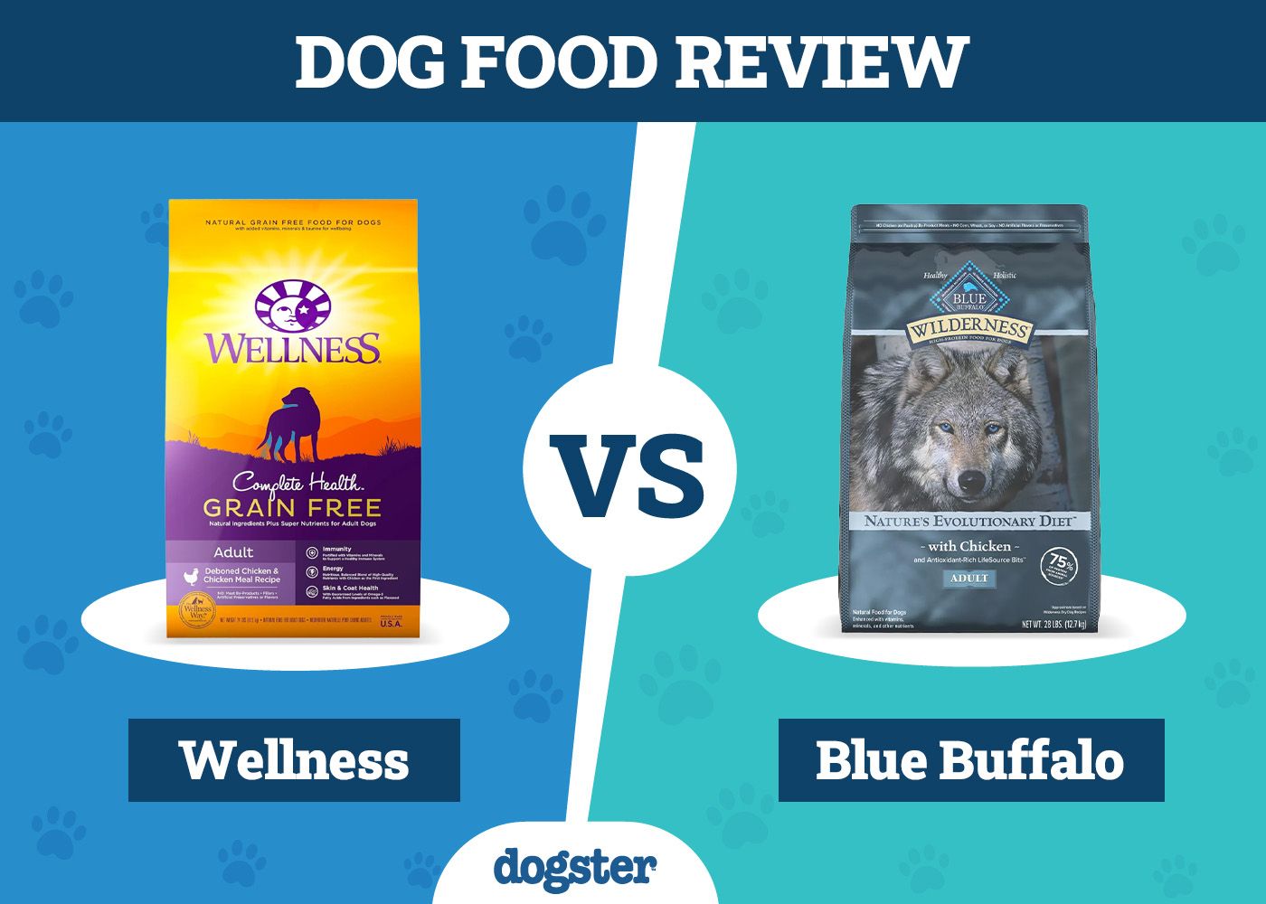 Dogster_Dog Food Wellness VS Blue Buffalo